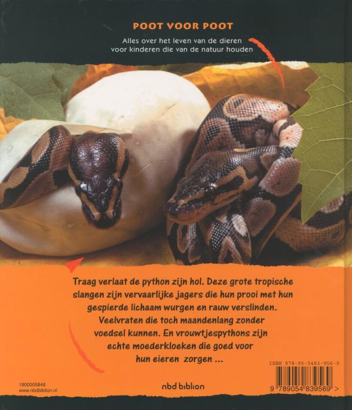 Achterkant van Pythons