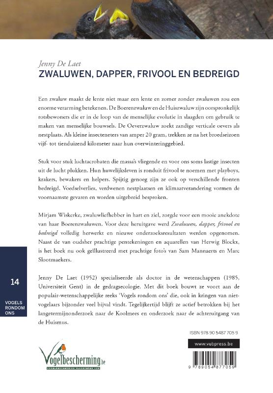 Achterkant van Zwaluwen, dapper, frivool en bedreigd