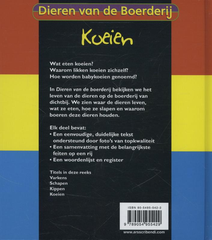 Achterkant van Koeien