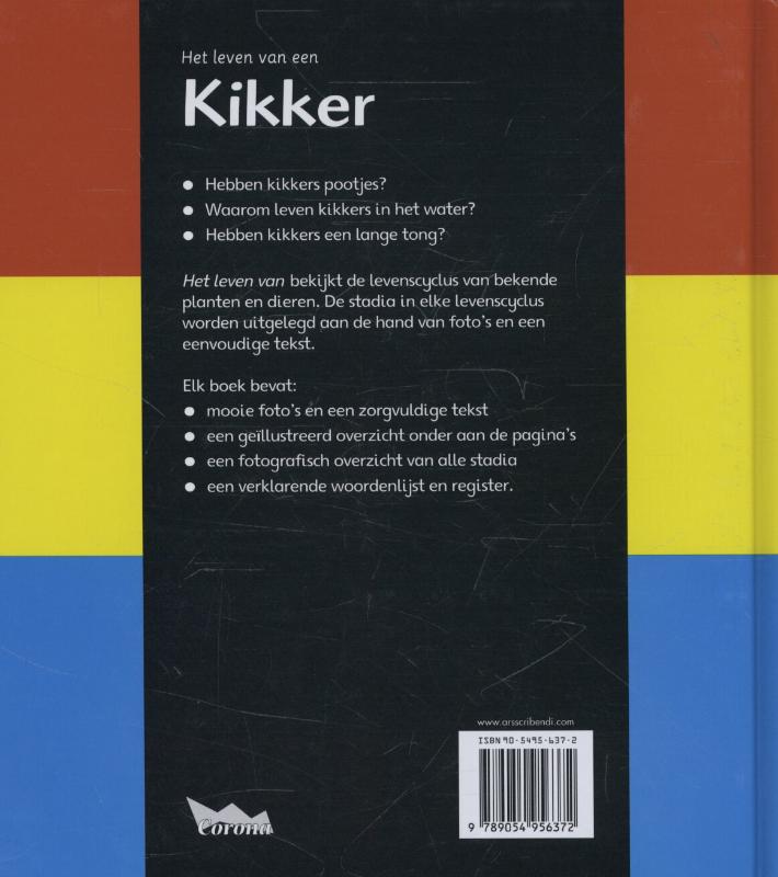Achterkant van Kikker