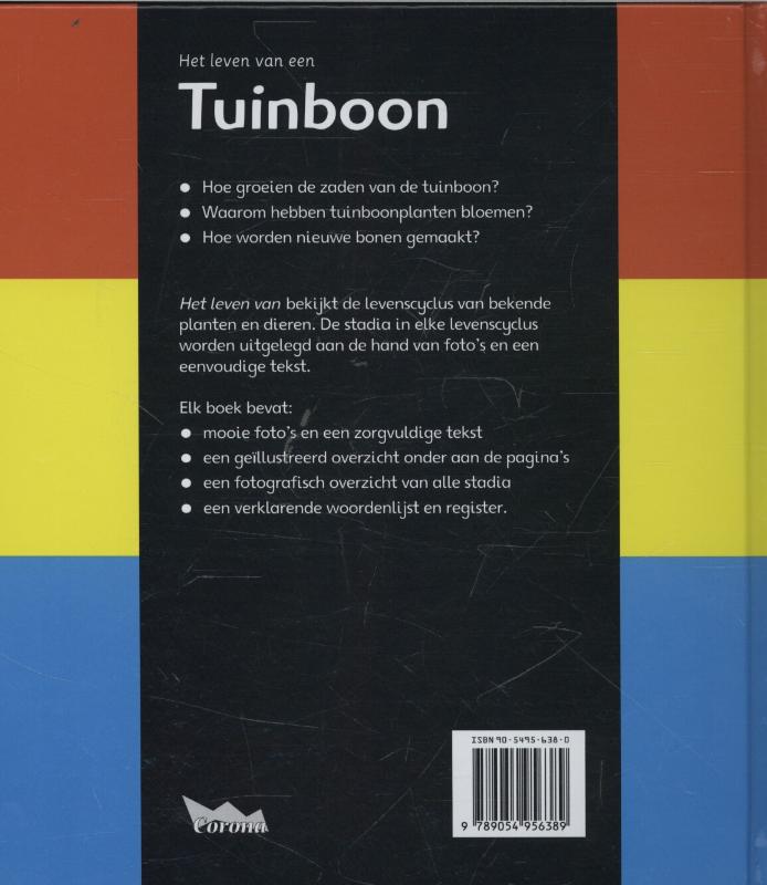 Achterkant van Tuinboom