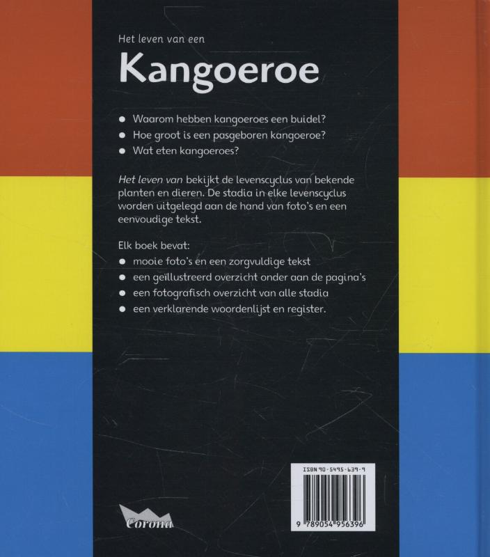 Achterkant van Kangaroe