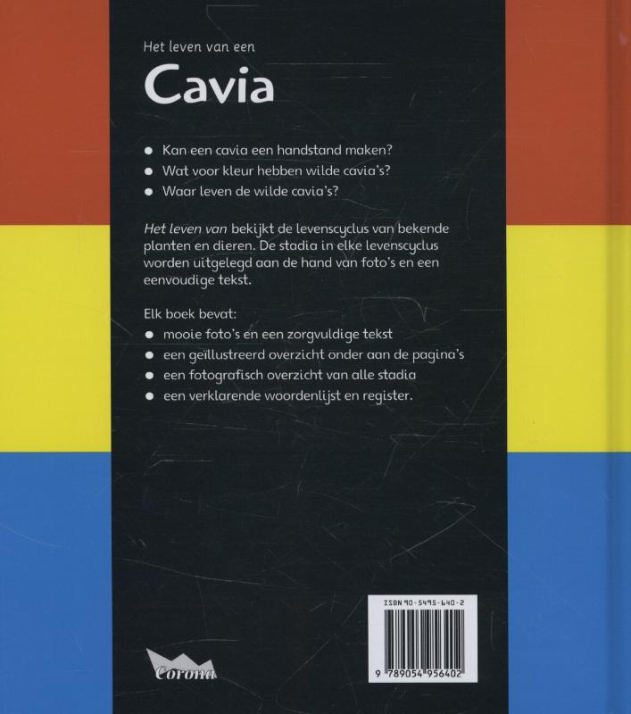 Achterkant van Cavia