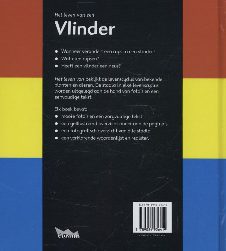 Achterkant van Vlinder