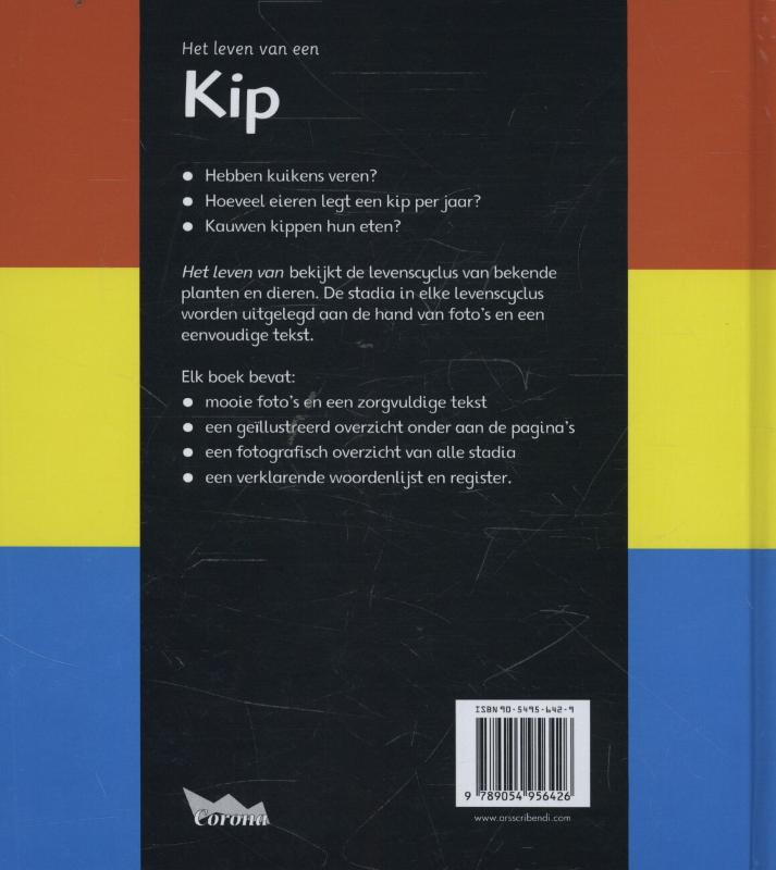Achterkant van Kip