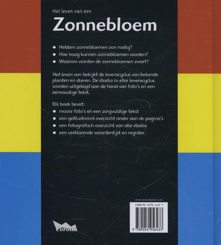 Achterkant van Zonnebloem