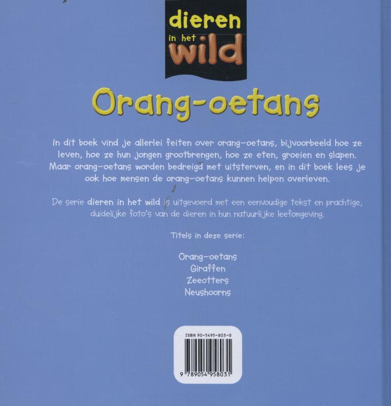 Achterkant van Orang-oetans