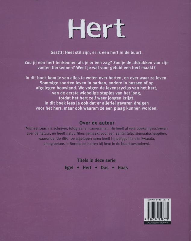 Achterkant van Hert