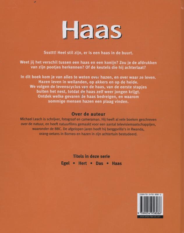 Achterkant van Haas