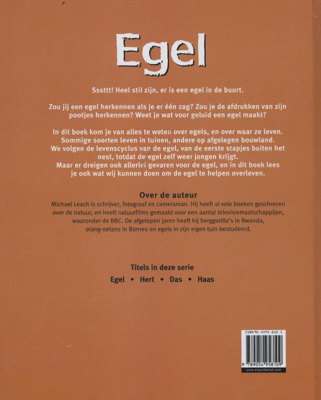 Achterkant van Egel