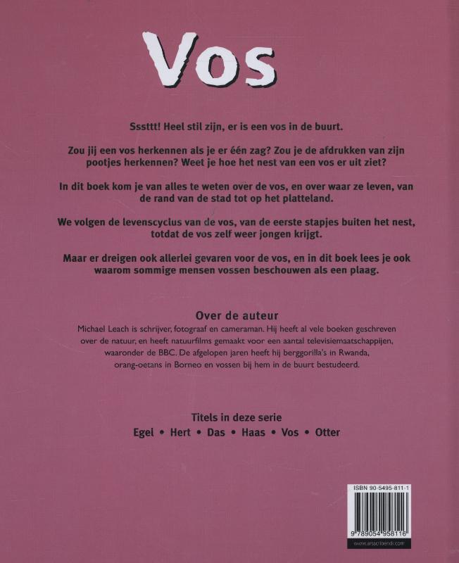 Achterkant van Vos