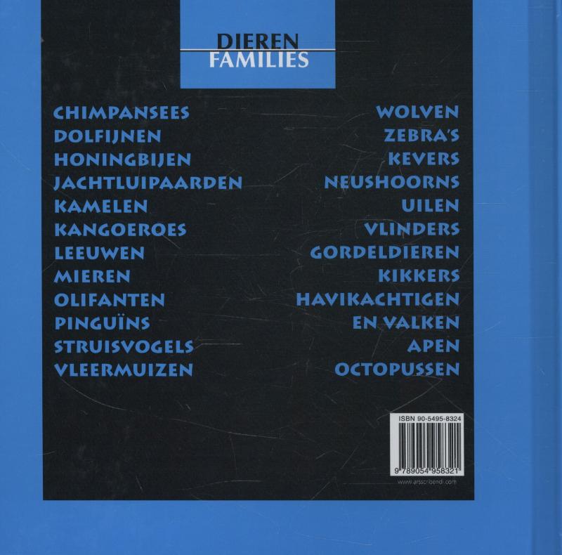 Achterkant van Kikkers