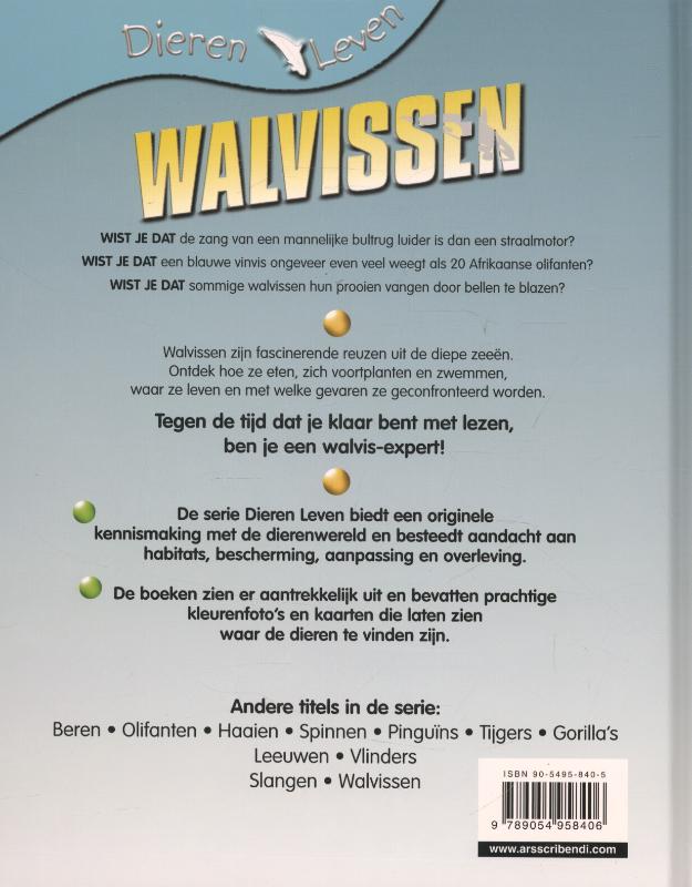 Achterkant van Walvissen
