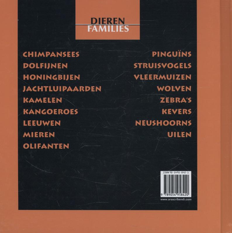 Achterkant van Uilen