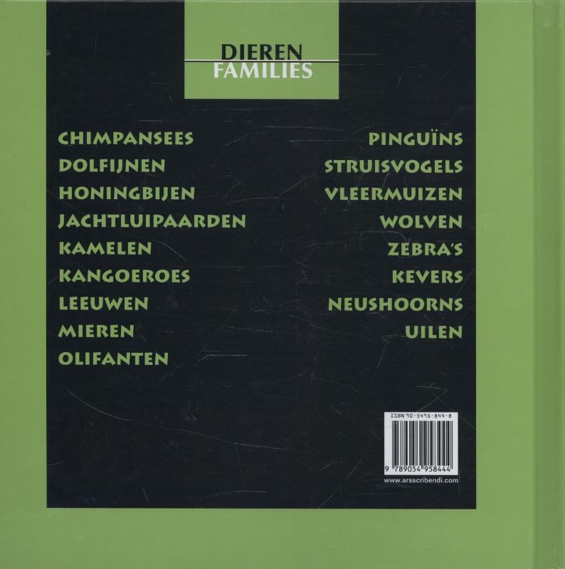 Achterkant van Kamelen