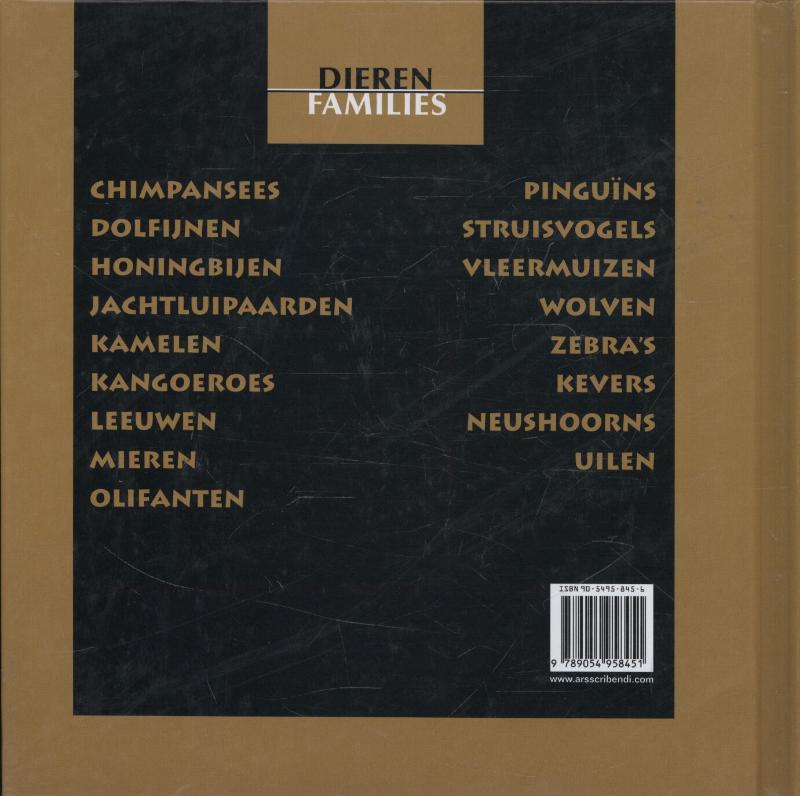 Achterkant van Vleermuizen