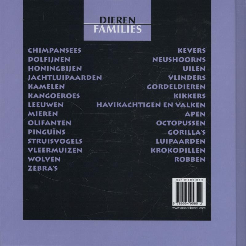 Achterkant van Dolfijnen