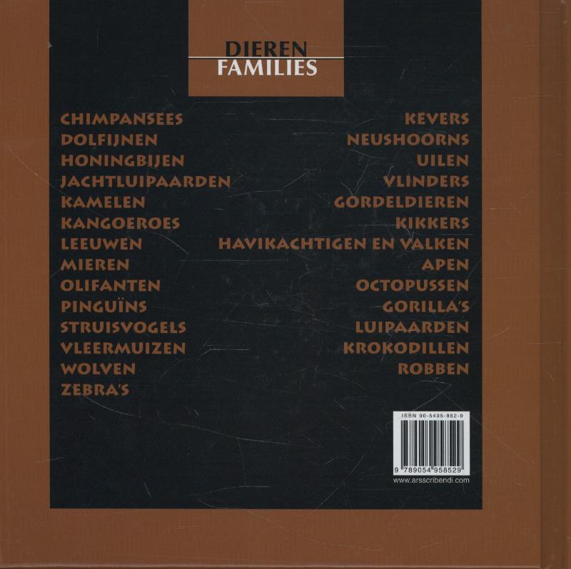 Achterkant van Krokodillen