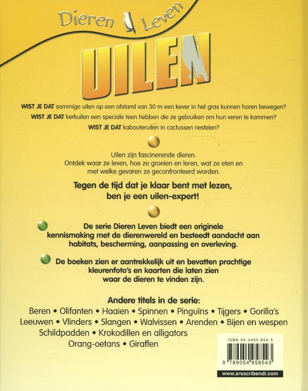 Achterkant van Uilen