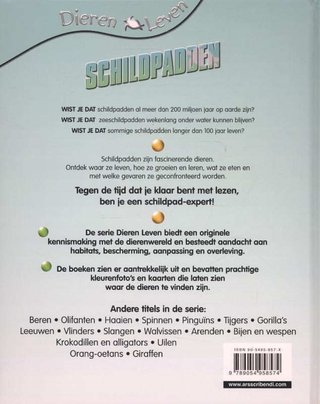 Achterkant van Schildpadden
