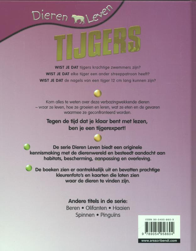 Achterkant van Tijgers