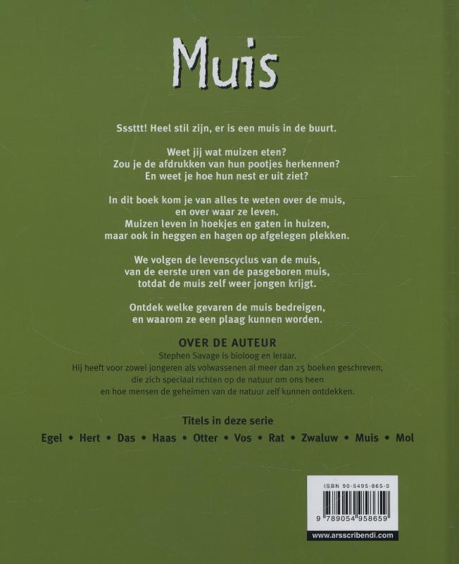 Achterkant van Muis