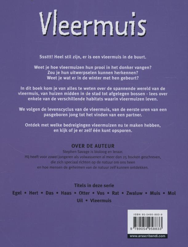 Achterkant van Vleermuizen