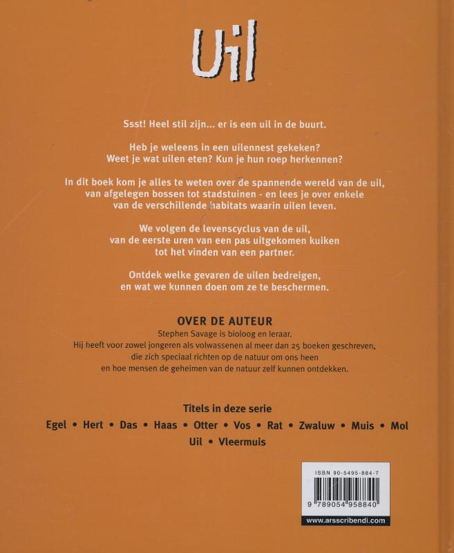 Achterkant van Uil