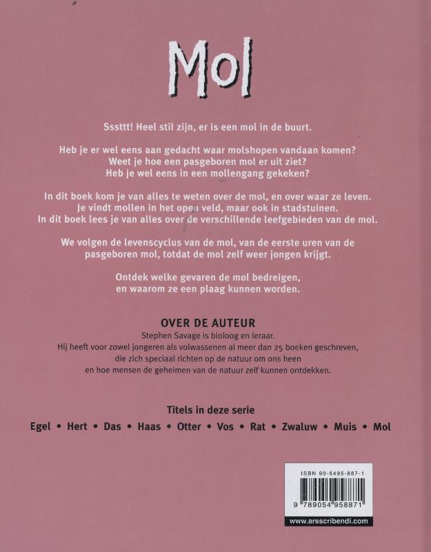 Achterkant van Mol