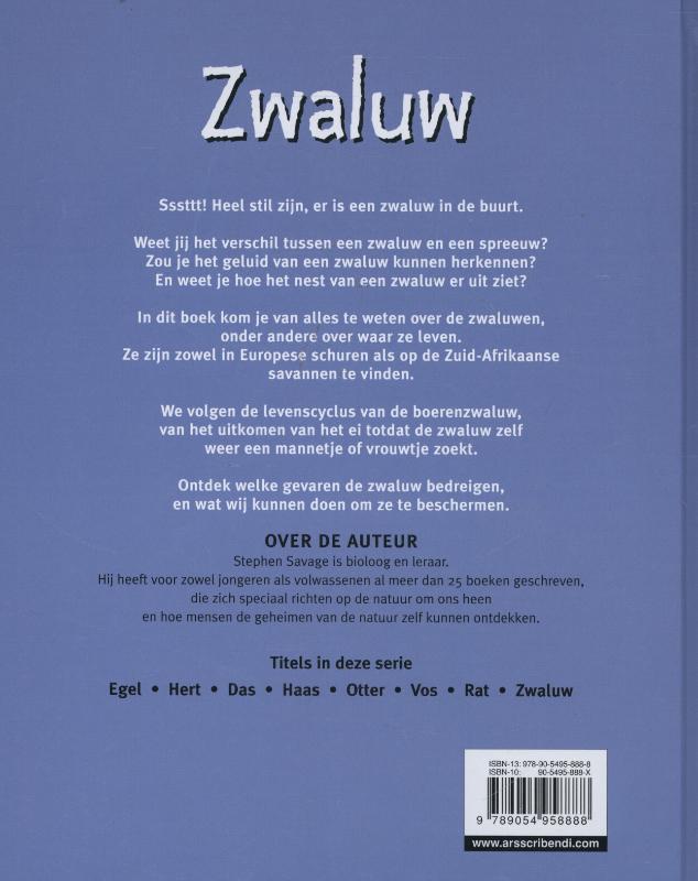 Achterkant van Zwaluw