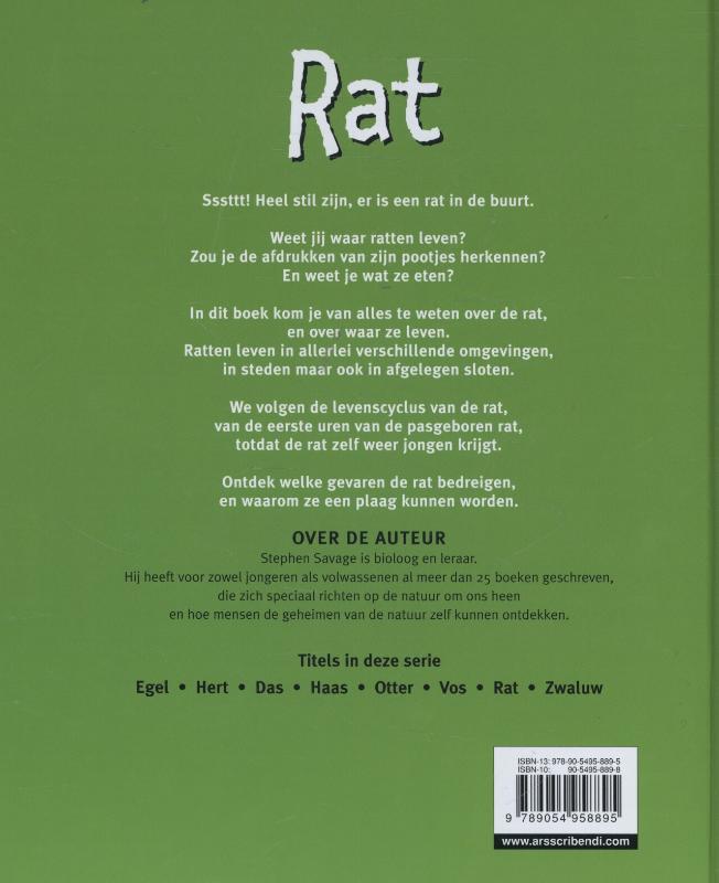 Achterkant van Rat