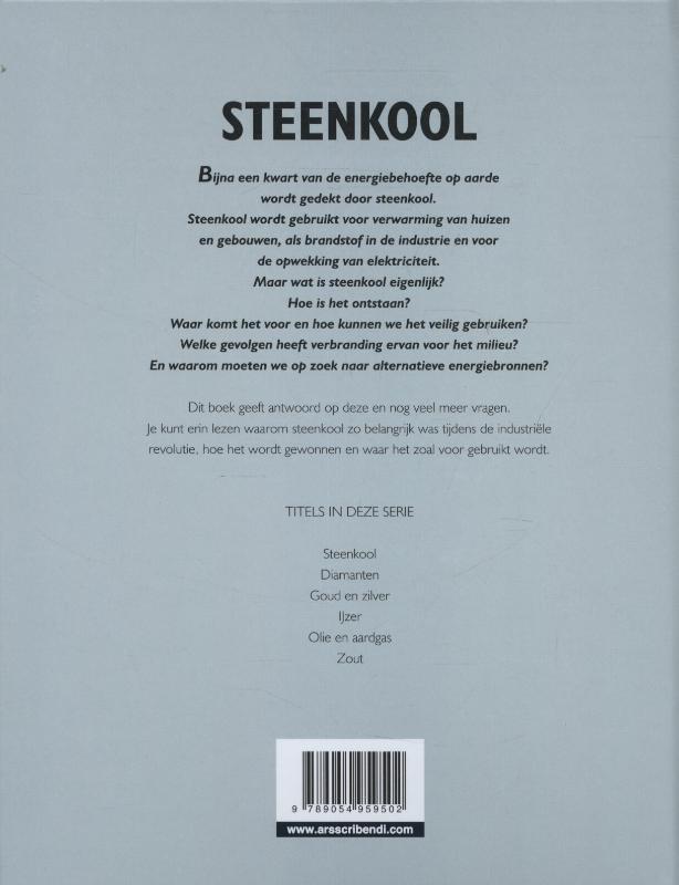 Achterkant van Steenkool