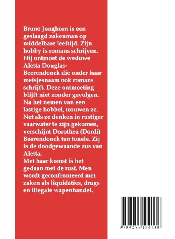Achterkant van De Triangel