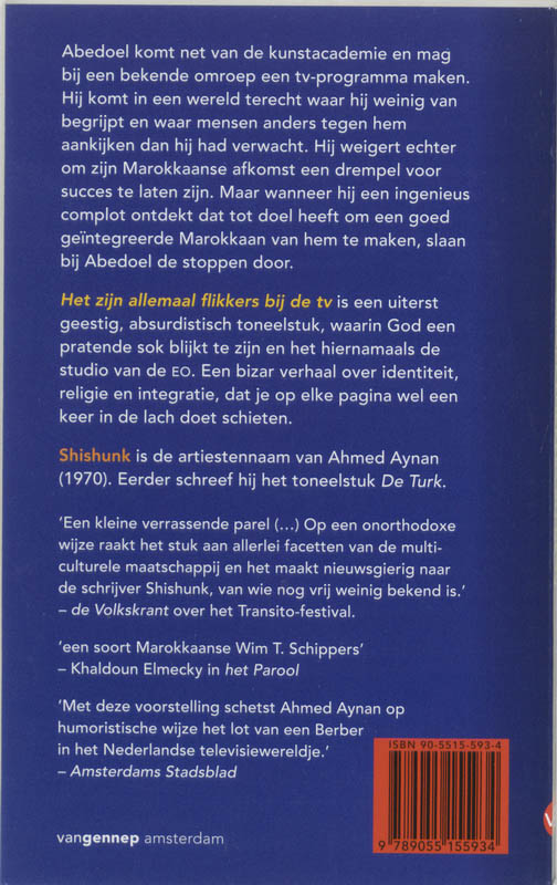 Achterkant van Het zijn allemaal flikkers bij de tv