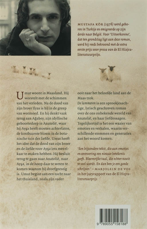 Achterkant van De lammeren