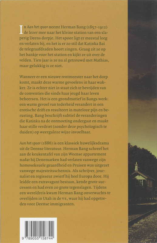 Achterkant van Aan het spoor