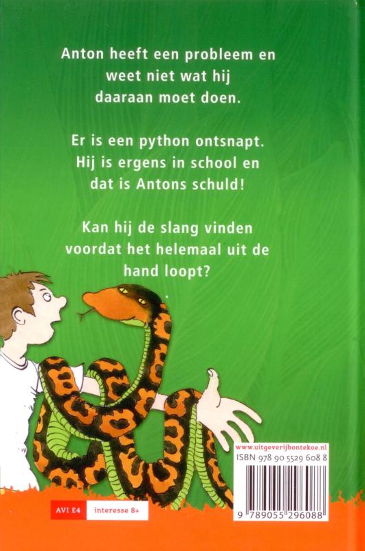 Achterkant van Problemen met een python