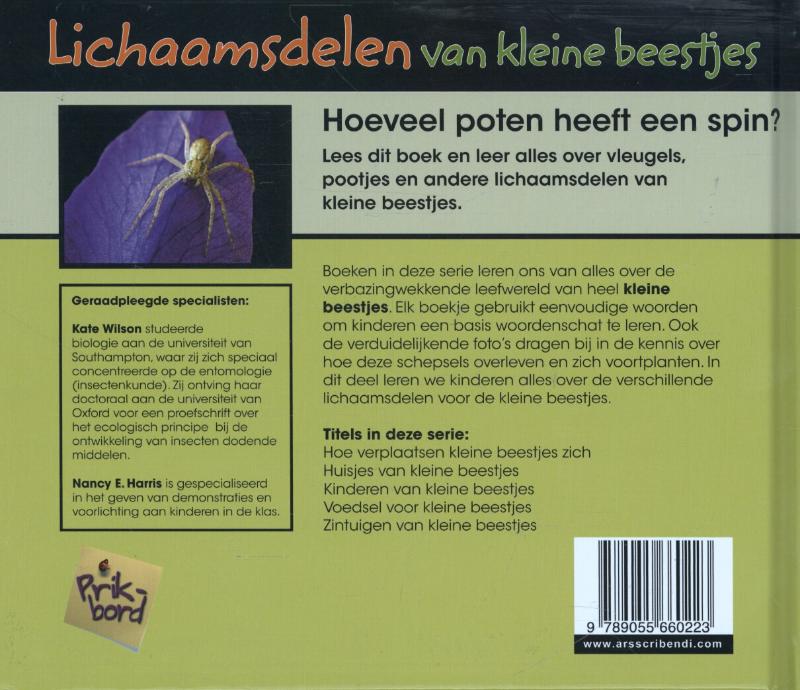 Achterkant van Lichaamsdelen van kleine beestjes