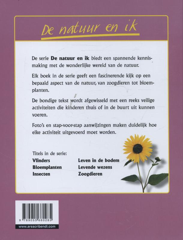 Achterkant van Bloemplanten