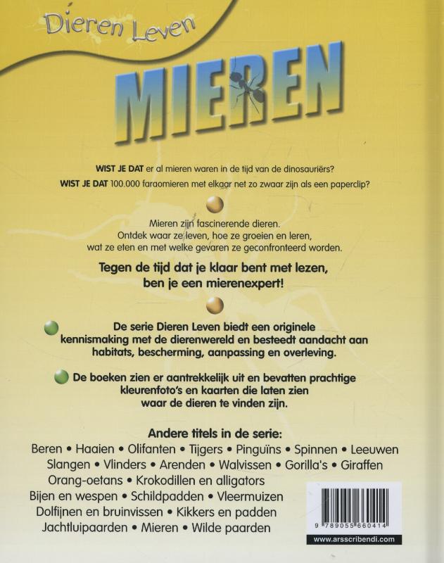 Achterkant van Mieren