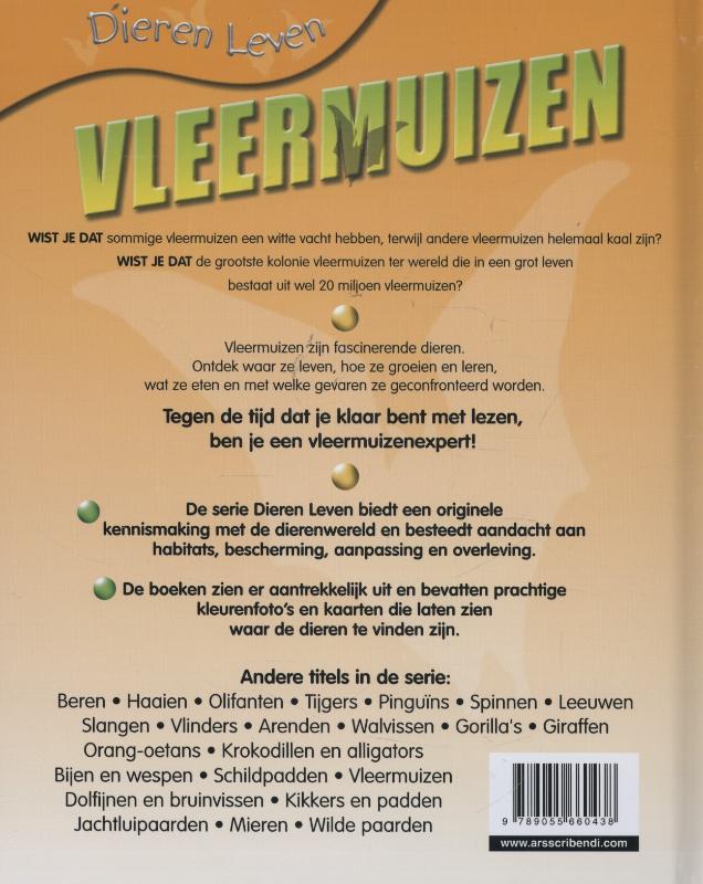 Achterkant van Vleermuizen