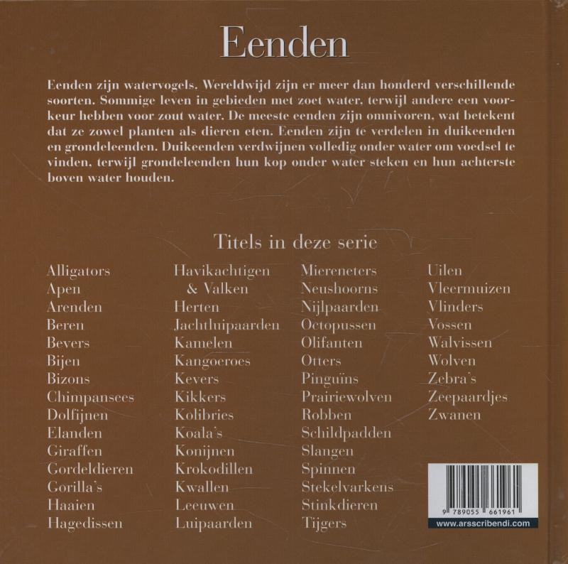 Achterkant van Eenden
