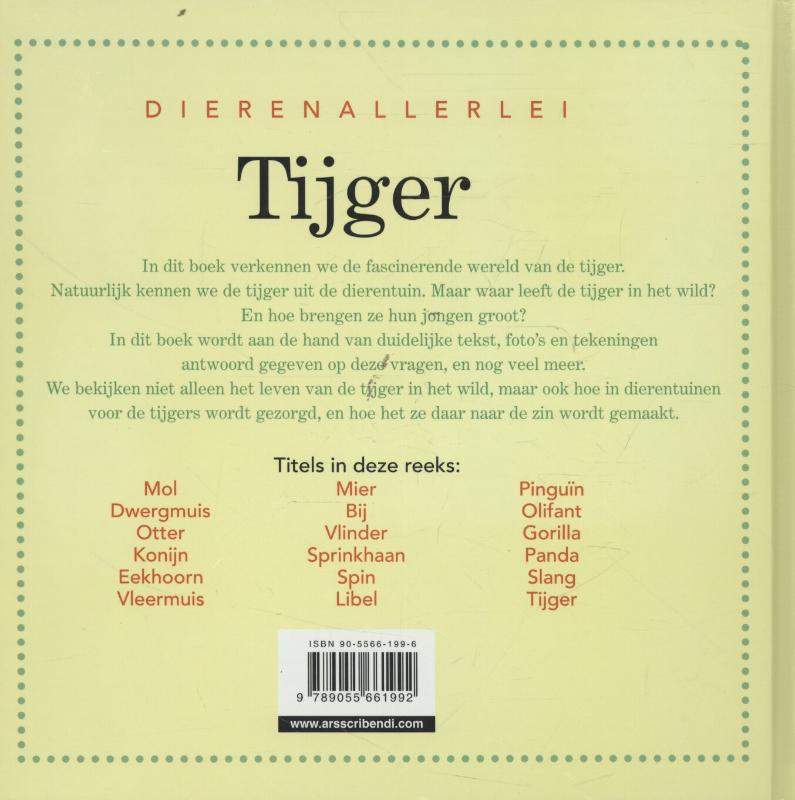 Achterkant van Tijger
