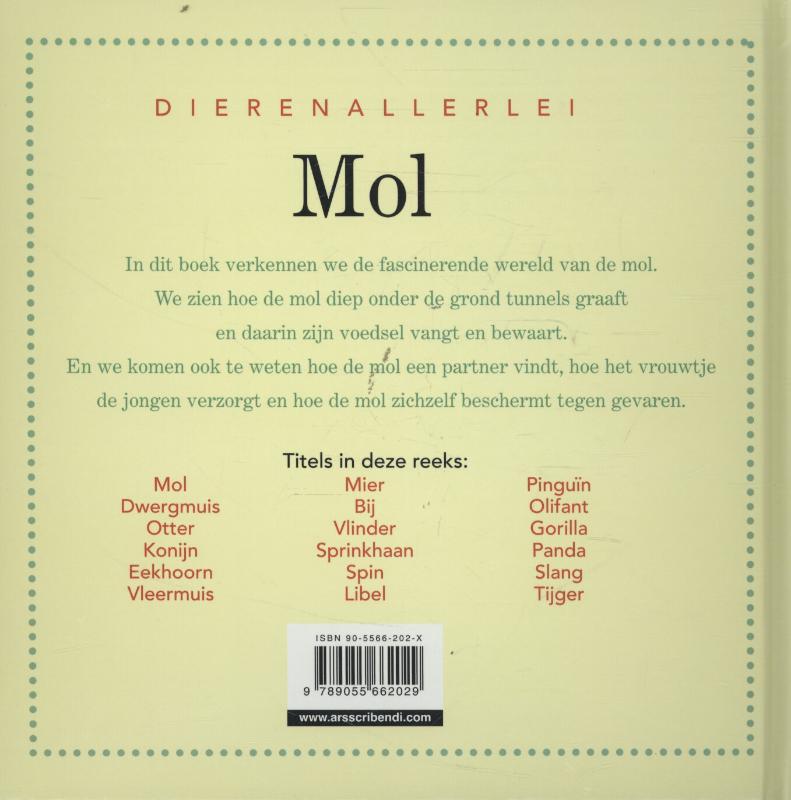 Achterkant van Mol