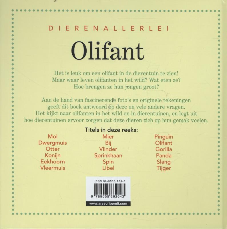 Achterkant van Olifant