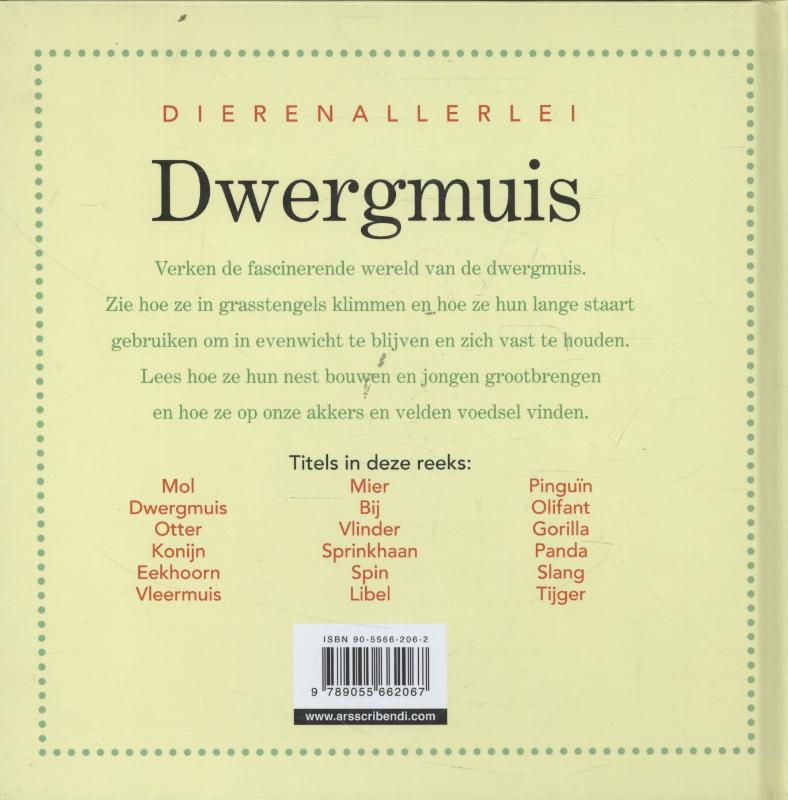 Achterkant van Dwergmuis