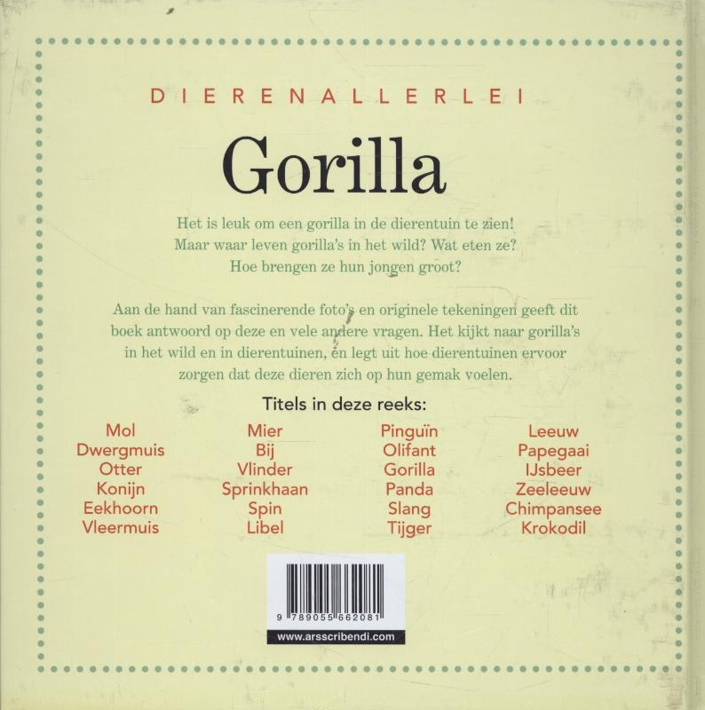 Achterkant van Gorilla