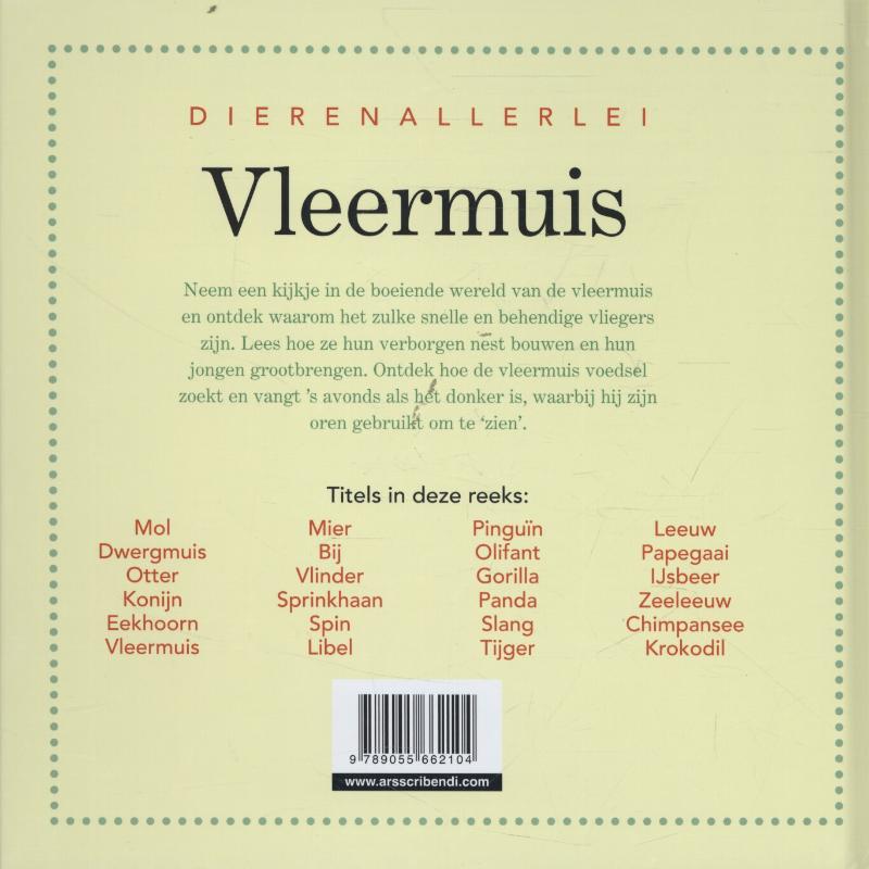 Achterkant van Vleermuis