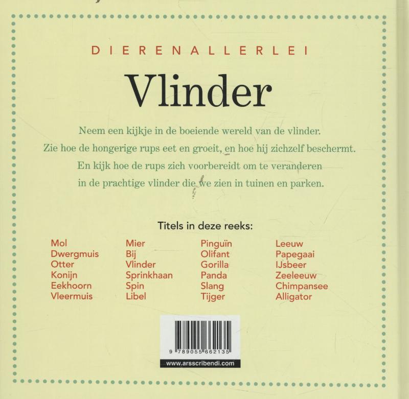 Achterkant van Vlinder