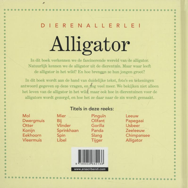 Achterkant van Alligator